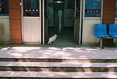 《GT赛车7》两段新视频发布 展示赛道和个性化功能